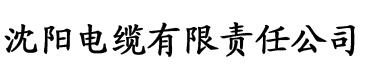 亚欧aⅴ天堂在线电缆厂logo